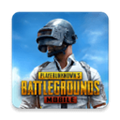 绝地求生国际服正版pubg